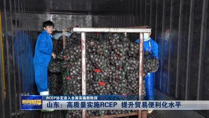 RCEP協定進入全面實施新階段——山東高質量實施RCEP提升貿易便利化水平，推動貨物進出口發展
